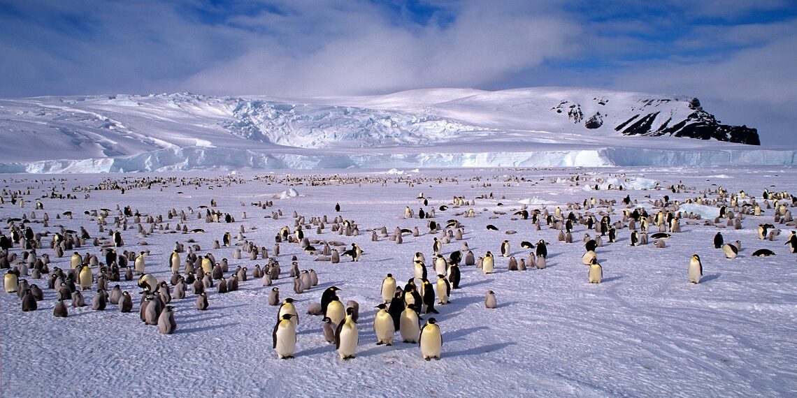 Antarktika’da Dünyanın En Büyük Doğal Rezervi Oluşturuluyor