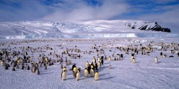 Antarktika’da Dünyanın En Büyük Doğal Rezervi Oluşturuluyor