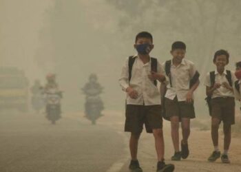 BM: 300 Milyon Çocuk ‘Zehir Soluyor’