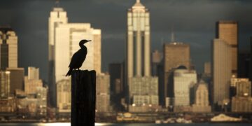 İnsan 14 Bin Omurgalı Canlı Türünü Yüzde 60 Oranında Azalttı!