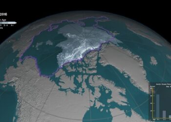 Kuzey Buz Denizi’ndeki Buzullar 30 Yılda Ne Kadar Küçüldü?-Video