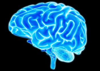 Irkçılığın Kökeni Keşfedildi Mi?