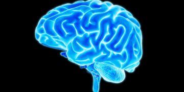 Irkçılığın Kökeni Keşfedildi Mi?