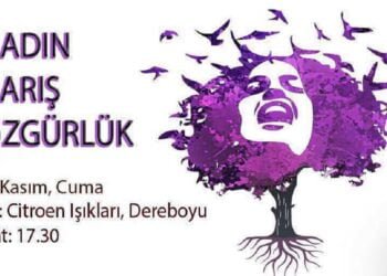 Dayanışma’dan Çağrı: Şiddete Karşı Feminist Dayanışma