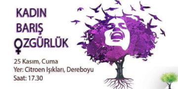 Dayanışma’dan Çağrı: Şiddete Karşı Feminist Dayanışma