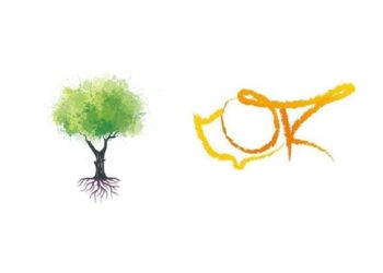 Dayanışma ile Omada Kıbrıs’tan İşbirliği Kararı: Dayanışmamız Yeniden Birleşme İçin