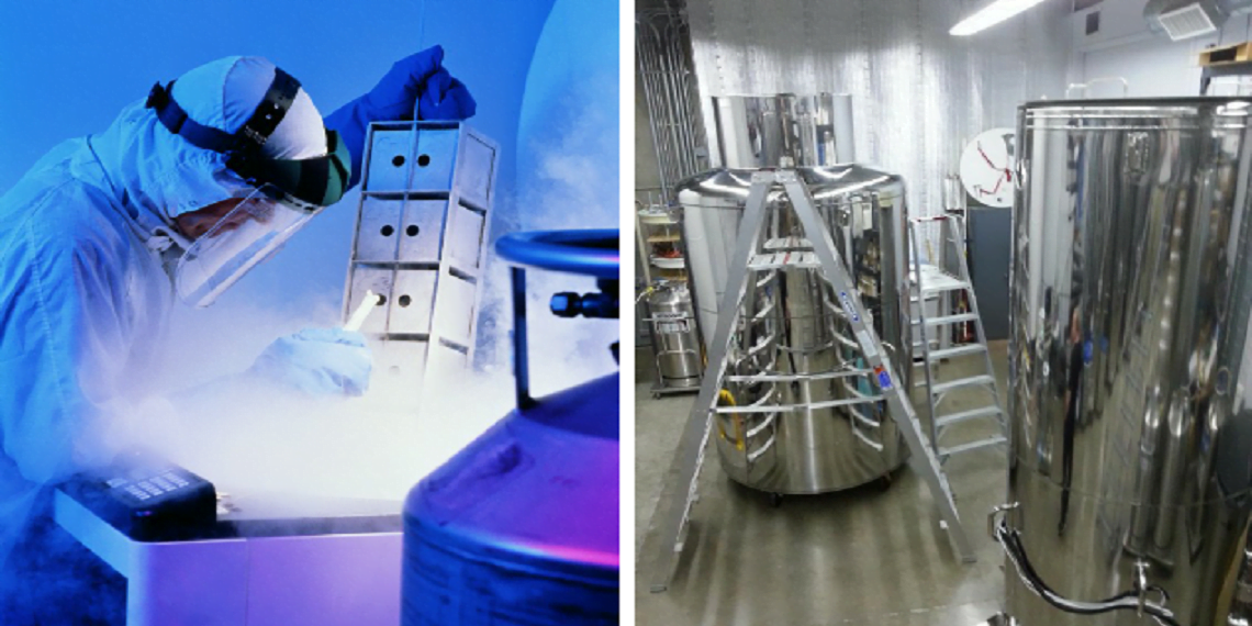 Ölmeden Önce Mahkemeye Başvurup ‘Kendini Dondurttu’