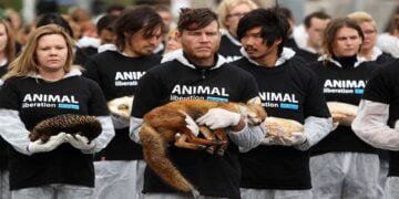 Aktivistler Hayvanlara Yapılan Zulüme Dikkat Çekti -Video-