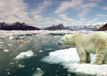 İklim Müzakereleri Başladı