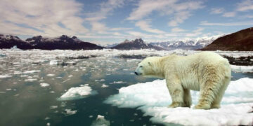 İklim Müzakereleri Başladı