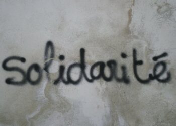 Koral Aşam’ın Yazısı Üzerine