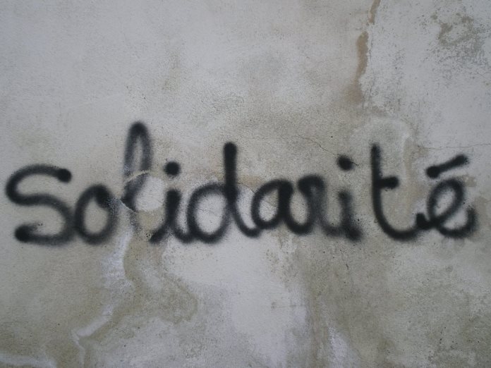 Koral Aşam’ın Yazısı Üzerine