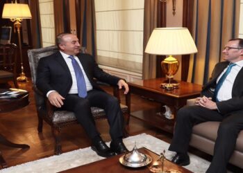 Eide, TC Cumhurbaşkanlığı Sözcüsü ve Dışişleri Bakanı İle Görüştü