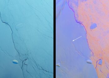 Antarktika’nın En Büyük Buzdağı Kopmak Üzere