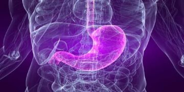 Da Vinci’nin 500 Yıl Önceki İddiası Doğrulandı: İnsan Vücudunda Yeni Organ Keşfedildi