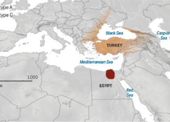 Bilim İnsanları Kedilerin Kökenini İnceledi