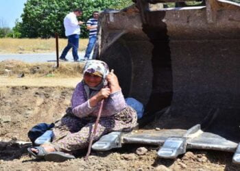 Yüzlerce Kadın Ağaç Kıyımına Karşı Kepçelerin Üzerine Çıktı