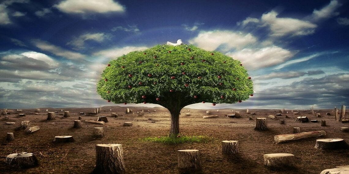 Darbelerin Kahramanları