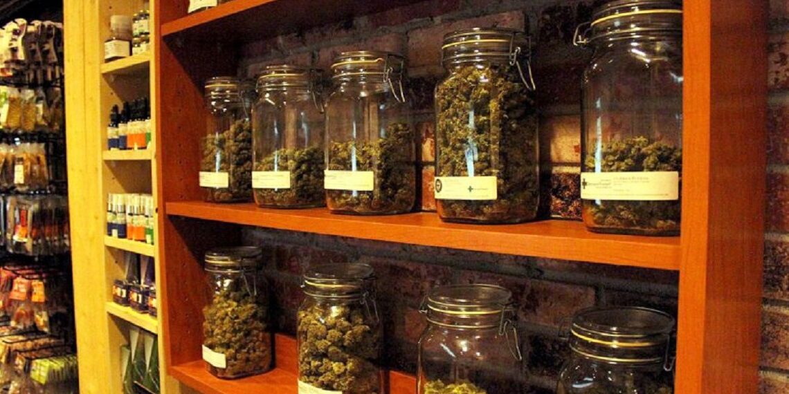 Uruguay’da Eczaneler Marihuana Satacak