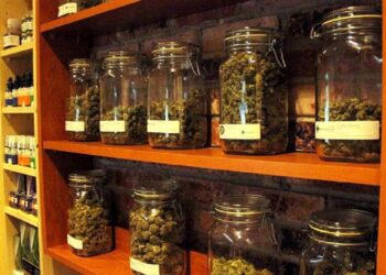 Uruguay’da Eczaneler Marihuana Satacak