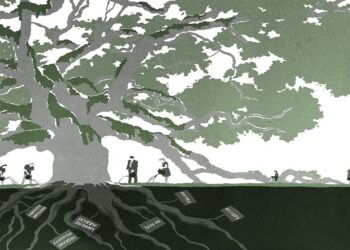 Yeni Belediyecilik Hareketleri | Eleanor Finley