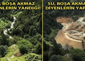 Atatürk Öğretmen Akademisi