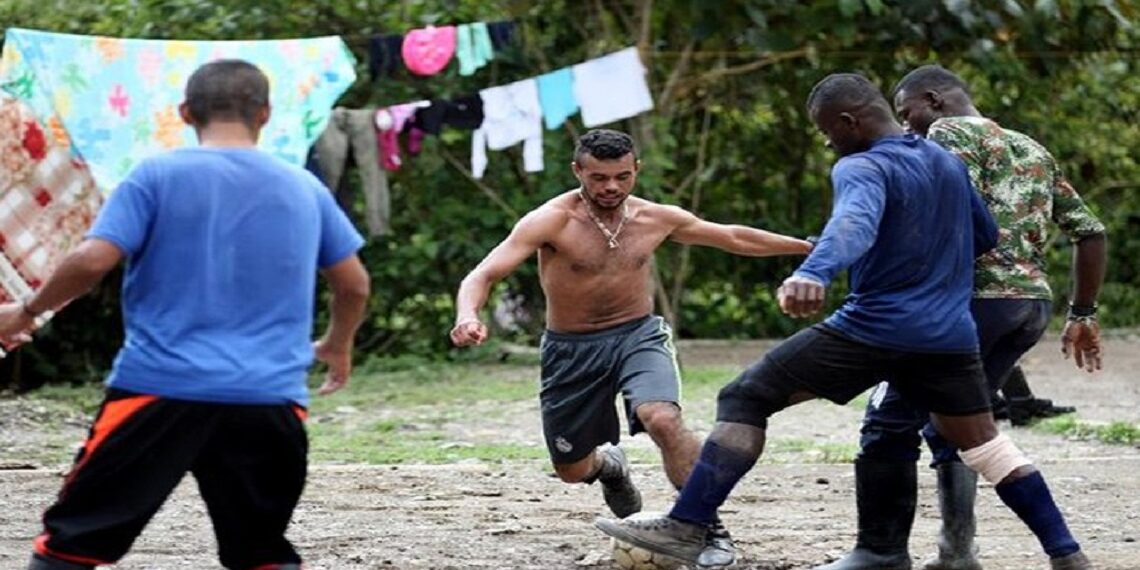 Eski FARC Üyelerinden ‘Kendini İdame Ettirebilen’ Sosyalist Yapıda Bir Köy