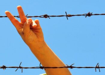 Kıbrıs Nuri Sayesinde Güzel!