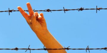 Kıbrıs Nuri Sayesinde Güzel!