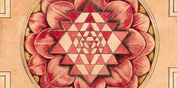 Akılcılık – Tevfik Aytekin