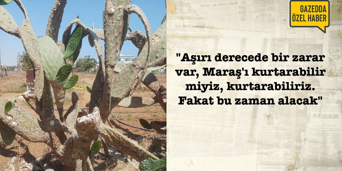 Vurana: “Hastalığın kaynağını kimse söyleyemez”