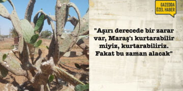 Vurana: “Hastalığın kaynağını kimse söyleyemez”