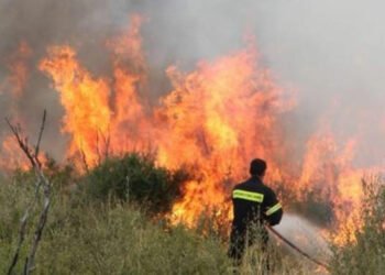 Pirgo’da yangın: 10 hektarlık alan kül oldu