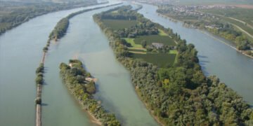 Küresel iklim değişikliği binlerce balığın ölümüne neden oldu