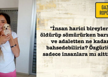 “Hayvanları hiçe sayarak barışa ulaşamayacağız”