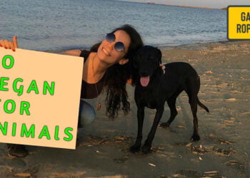 “Kedi ve köpek için göz yaşı dökerken inek hayvan değilmiş gibi davranılıyor”