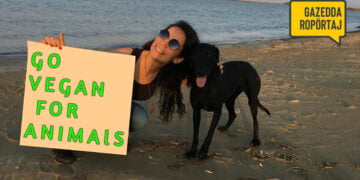 “Kedi ve köpek için göz yaşı dökerken inek hayvan değilmiş gibi davranılıyor”