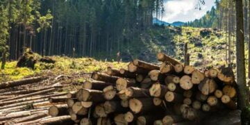 Çevreciler için en ölümcül yıl – Jordan Barnes