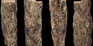 İlk kuşak melez insan keşfedildi!