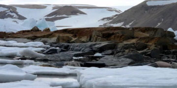 Kuzey Kutbu gün geçtikçe yok oluyor