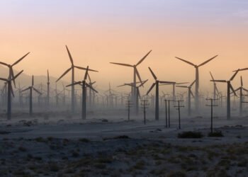 ‘Temiz’ denilen rüzgar enerjisine neden karşı çıkılıyor?