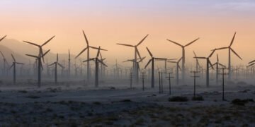 ‘Temiz’ denilen rüzgar enerjisine neden karşı çıkılıyor?