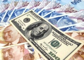 Ekonomi de Türk Lirası da Güven Vermiyor