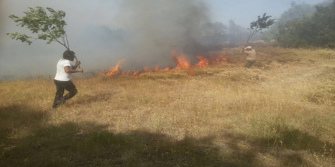 Türkiye Kürt bölgelerinde Neden Yangın Çıkarıyor? | Meghan Bodette
