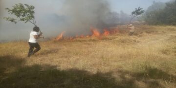 Türkiye Kürt bölgelerinde Neden Yangın Çıkarıyor? | Meghan Bodette