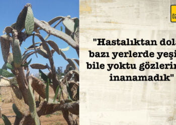 Ercilasun: “Hastalık Serdarlı’ya kadar yayılmış olabilir”