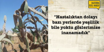 Ercilasun: “Hastalık Serdarlı’ya kadar yayılmış olabilir”