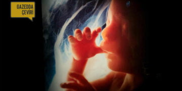 Anne Adaylarının Plasentalarında Hava Kirliliği Parçacıkları Bulundu!