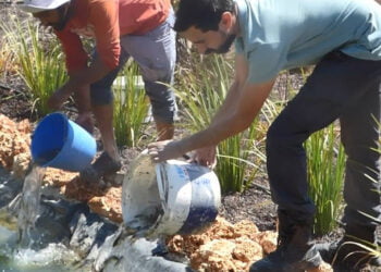 “On Binlerce Balık Halen Yaşam Mücadelesi Veriyor”