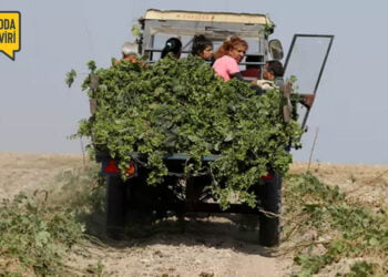 Çek Cumhuriyeti ekonomisi güçleniyorsa, neden bu kadar fakiriz? – Saša Uhlová